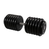 Гантель Профи с вращающейся ручкой, 66 кг MB Barbell MB-FdbM-B66