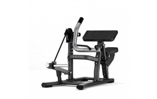 Бицепс (сидя) Smith Fitness SH018 600_380