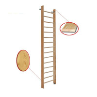 Стенка гимнастическая 320х80см массив.сосна Dinamika ZSO-000056
