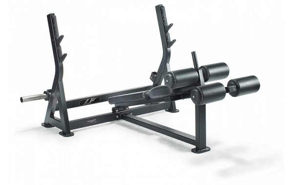 Олимпийская скамья с обратным наклоном UltraGym LF-209 600_380