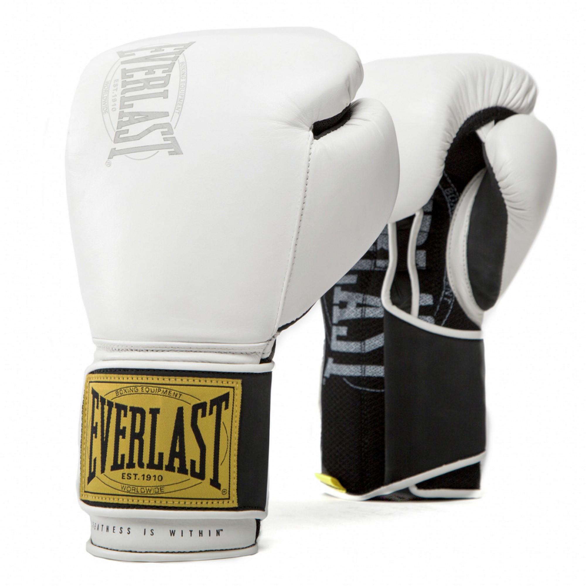 Перчатки тренировочные Everlast 1910 Classic 10oz P00001705-10 белый 2000_2000