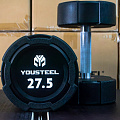 Гантель EVO 27,5кг полиуретановая YouSteel 120_120